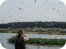 Monitoring biodiverzity