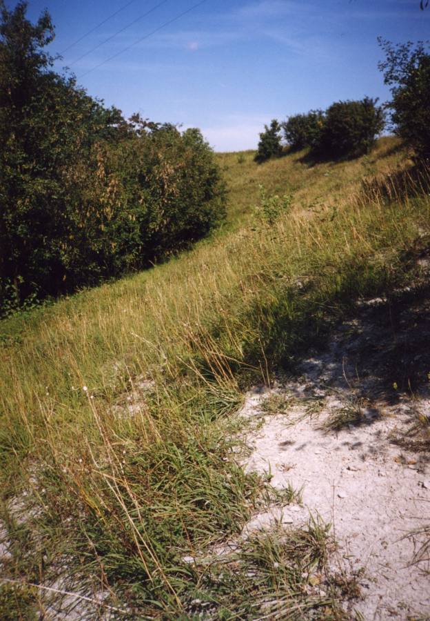 Vinný vrch