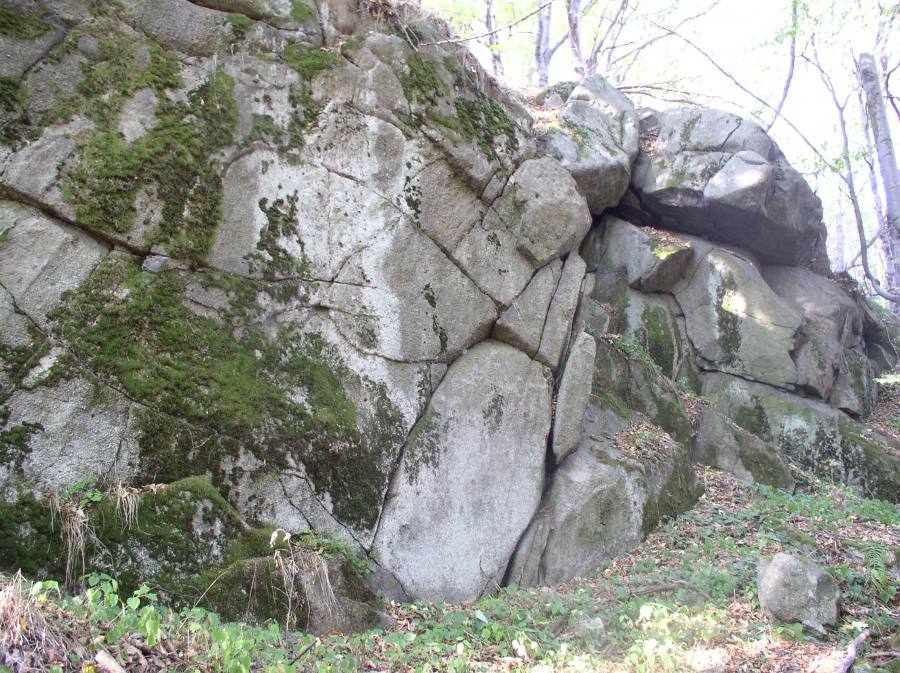 Inventarizační průzkum - mechy