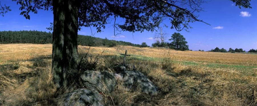 Syenitové skály u Pocoucova