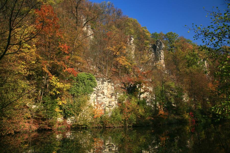 Peliny
