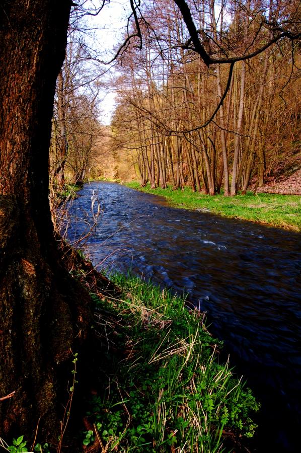 Střela