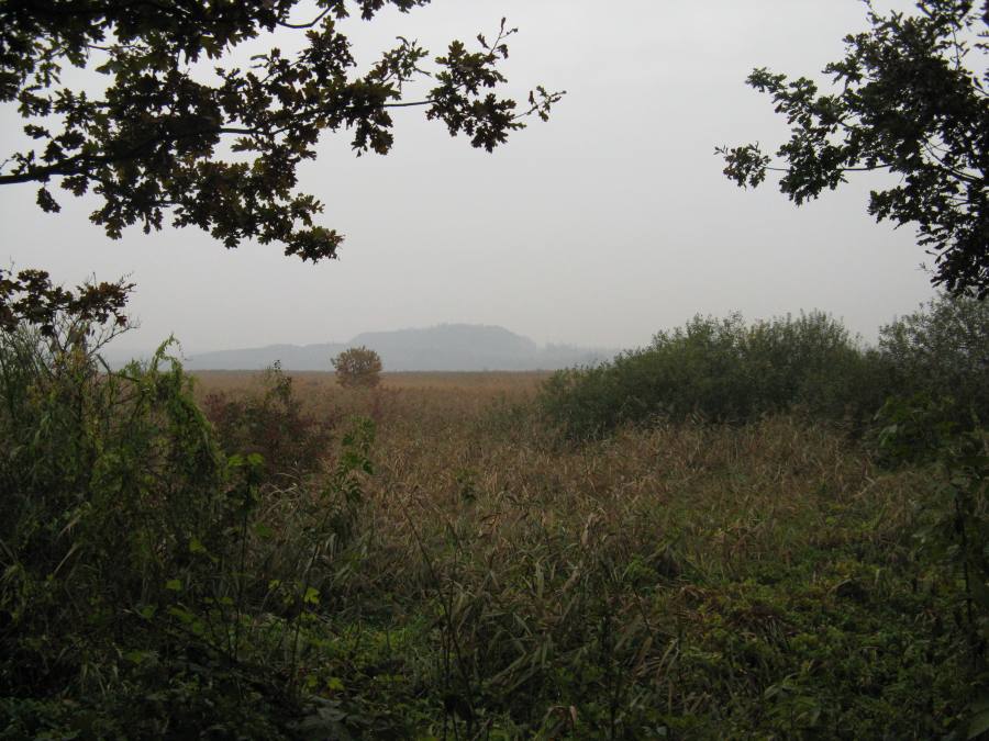 Heřmanický rybník