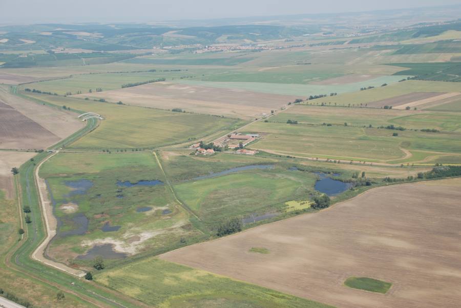 Trkmanec - Rybníčky