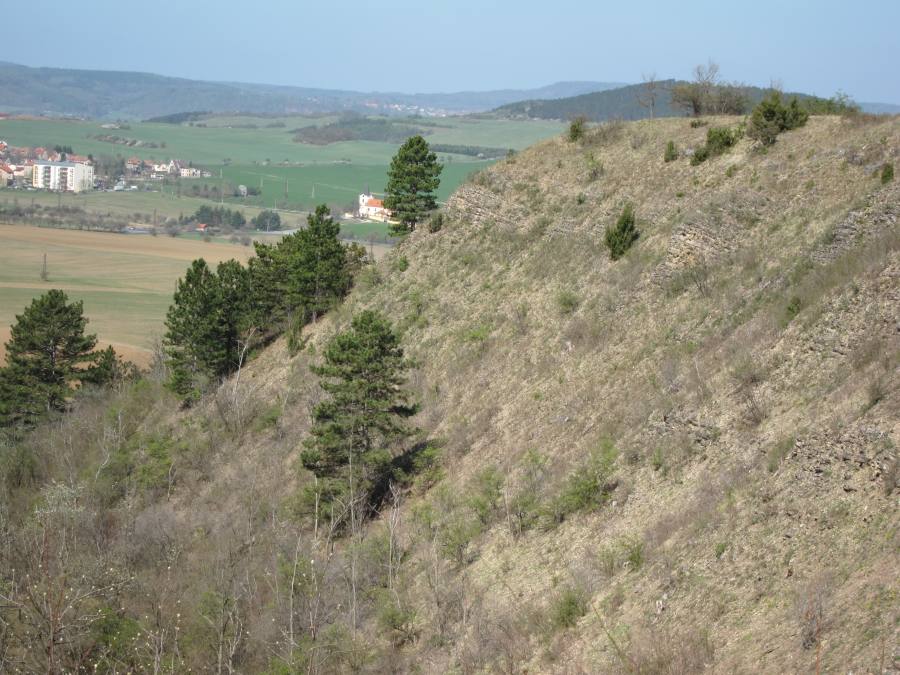 Údržba značení a číslování stratotypu (stratotypy a parastratotypy)