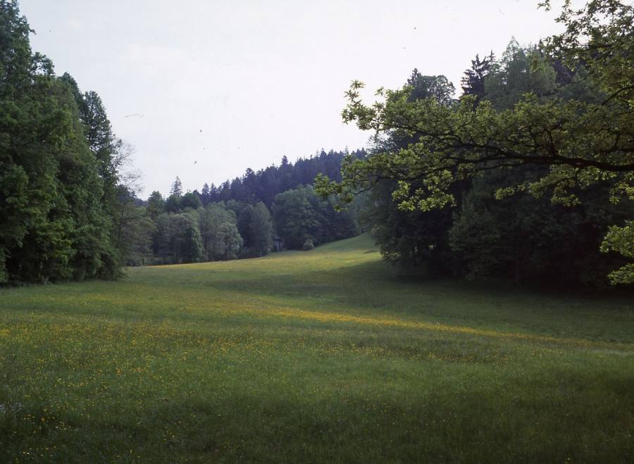 Terčino údolí