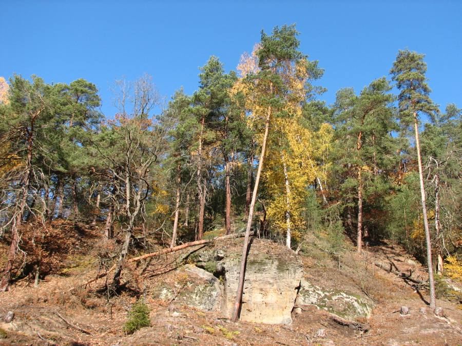 Roverské skály