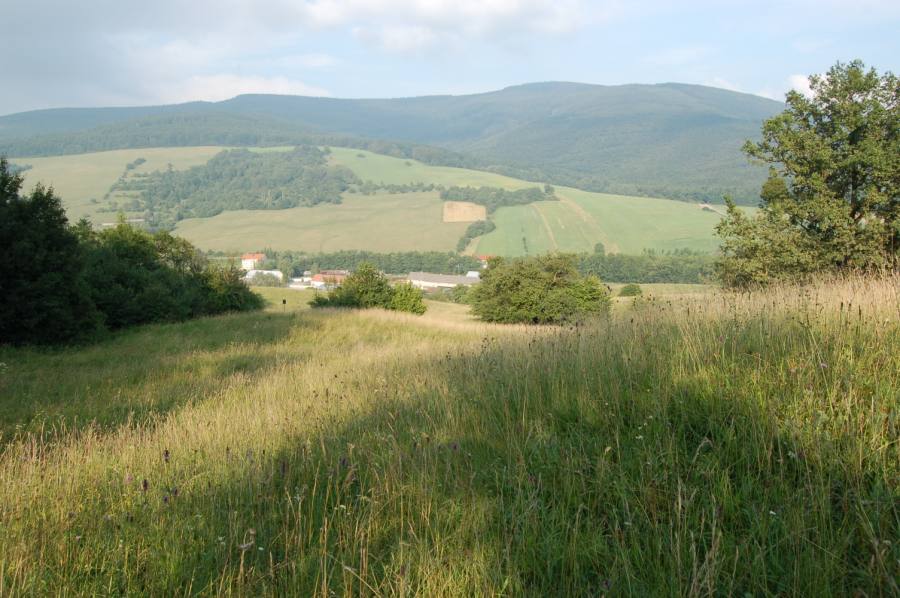 Bílé Karpaty