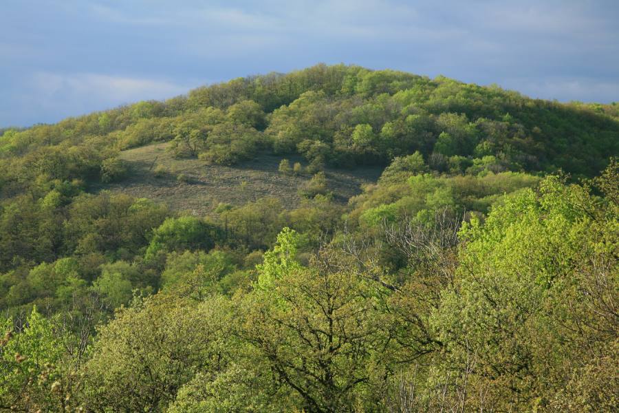Karlštejn - Koda