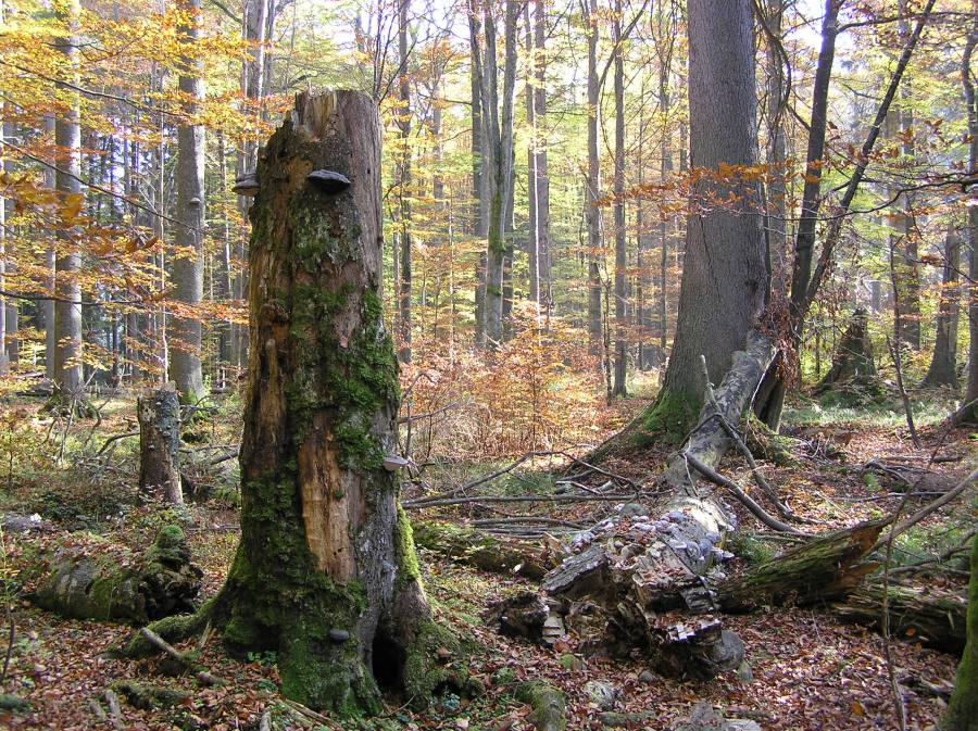 Novohradské hory