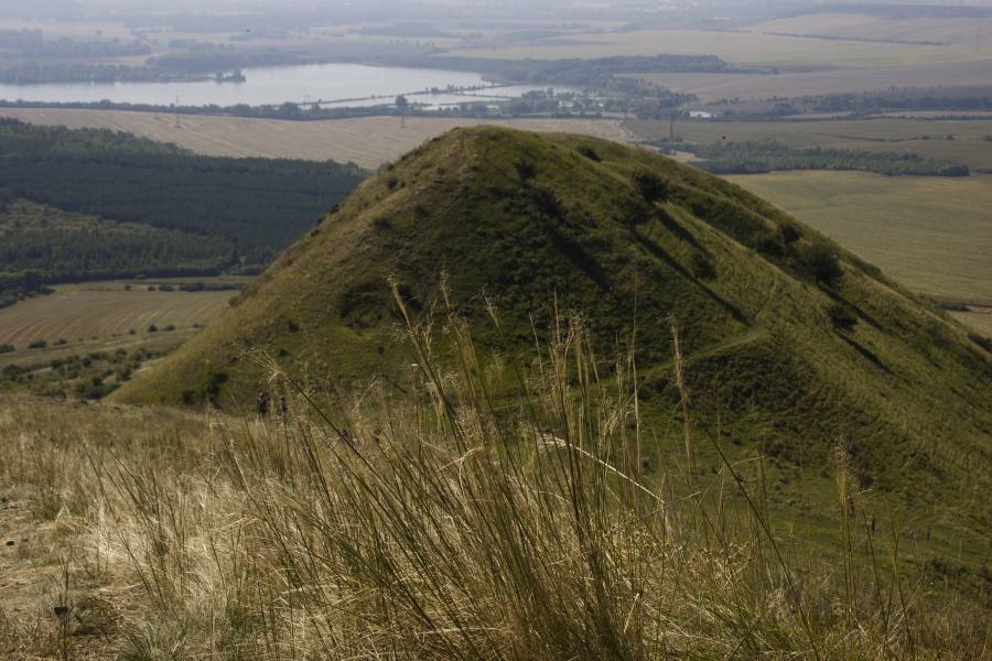 Raná