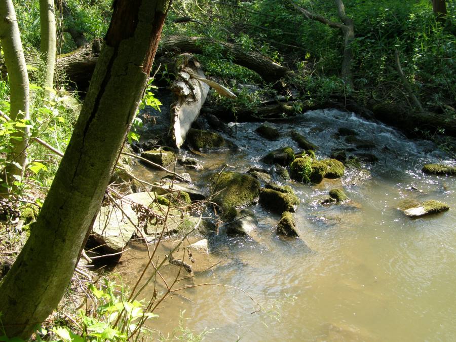 Bystřice