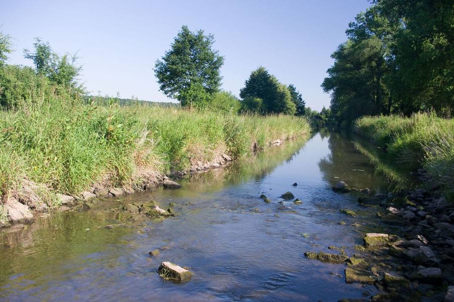 Javorka a Cidlina - Sběř