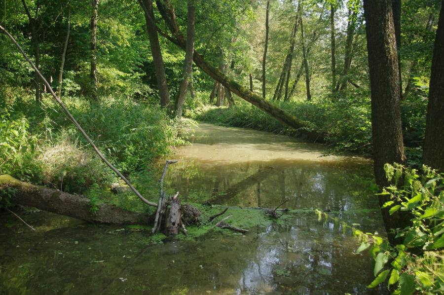 Údolí Bystřice