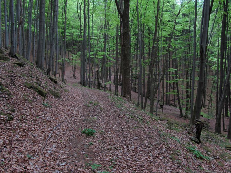 Hostýnské vrchy