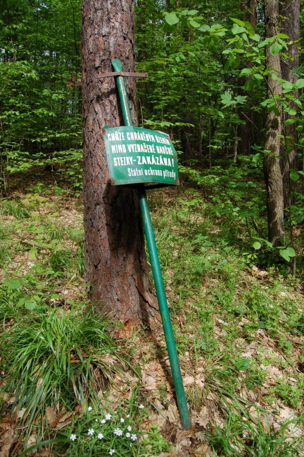 Instalace tabulového značení (hraničník nízký bez státního znaku)