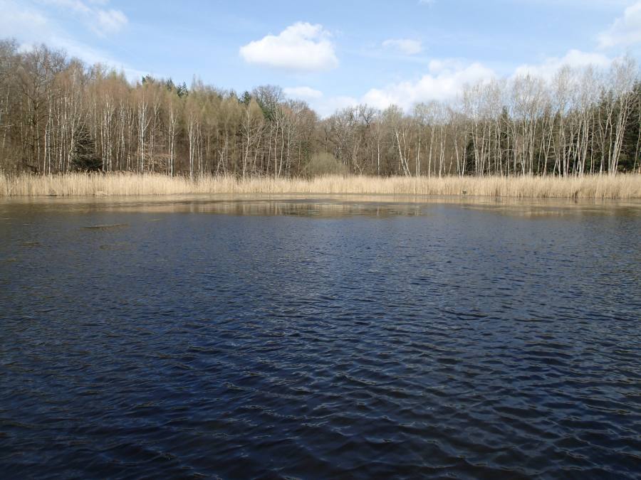 Rybník Strašidlo