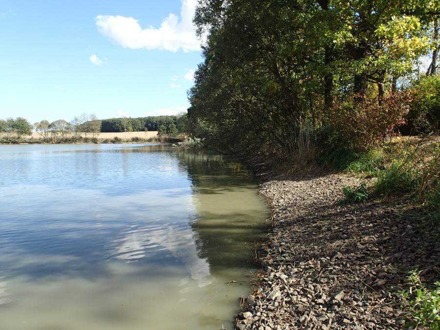 Rybník Smrkovák