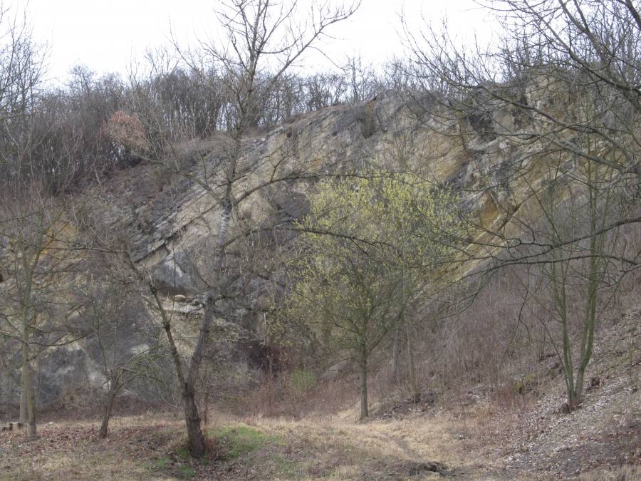 Pod školou