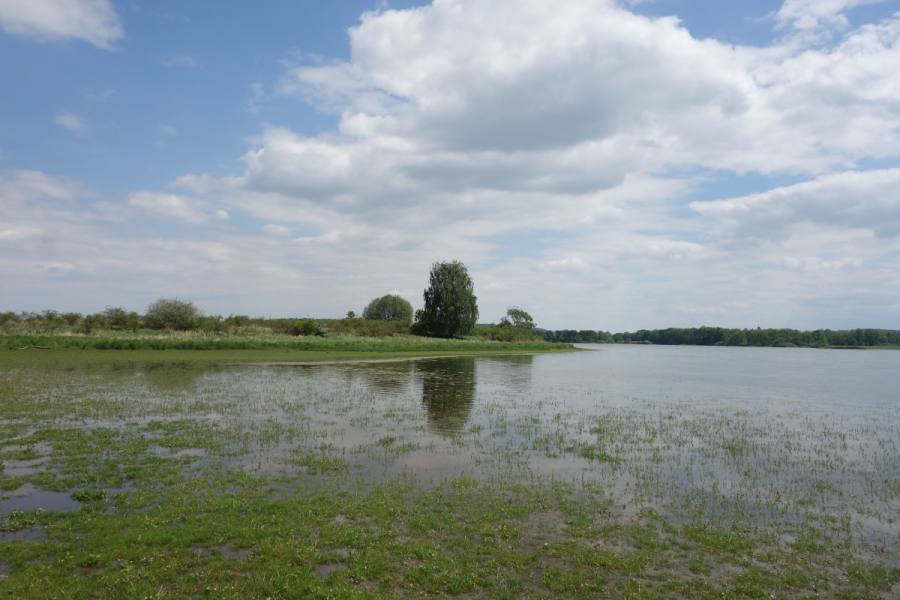 Dehtář