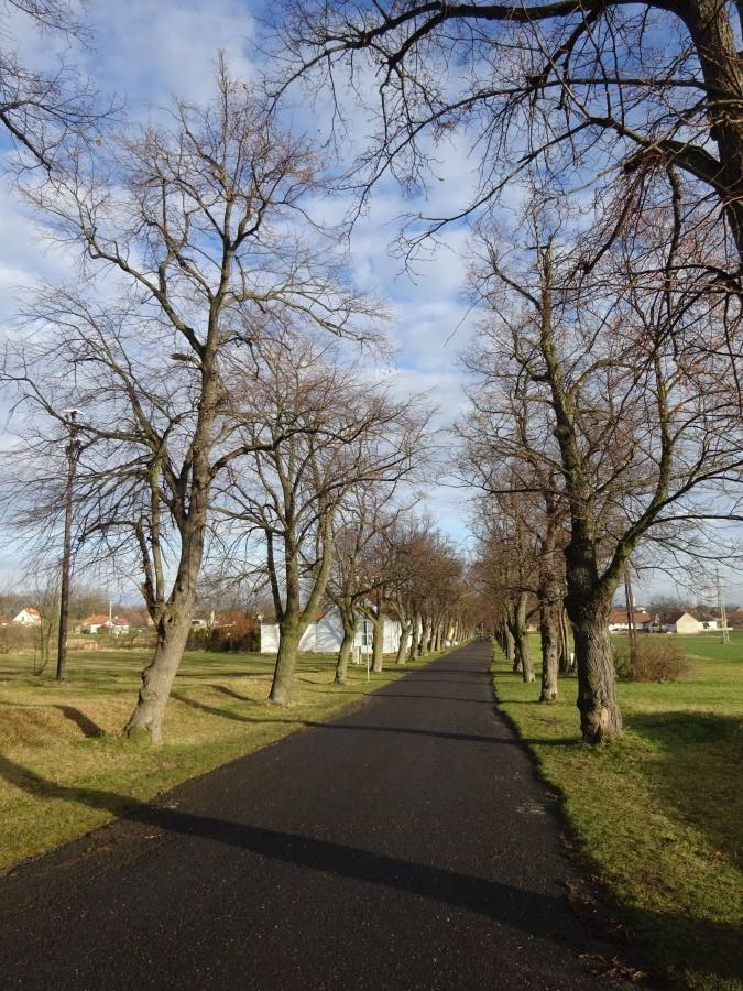 Lipová alej na úpatí památné hory Říp