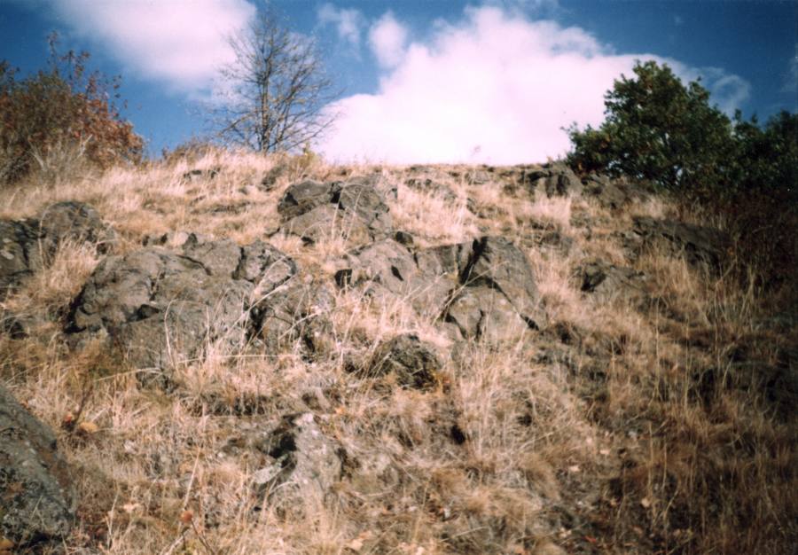 Vinařická hora