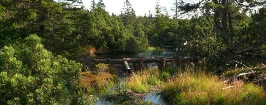 Tvorba složitých přehrážek (dvojité, perodrážka, atd.)