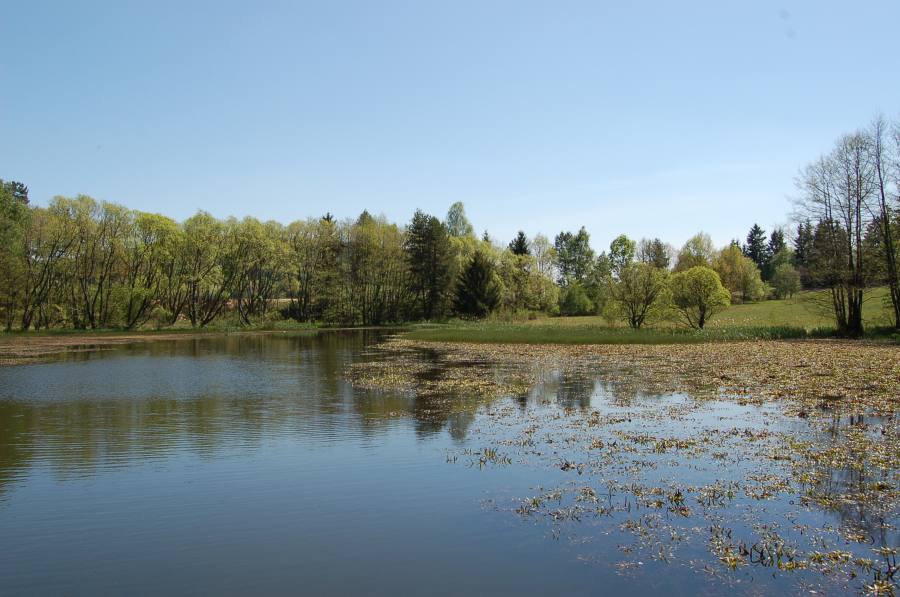 Podlesí