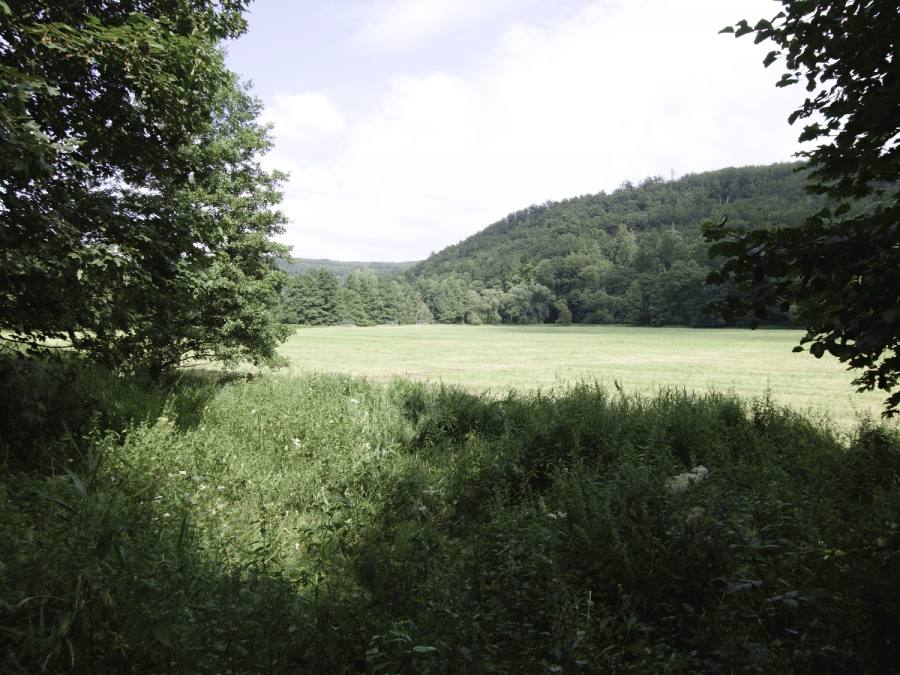 Údolí Moravice