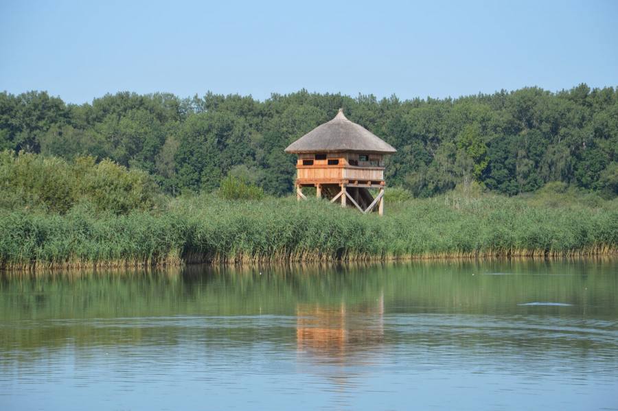Pozorovatelna