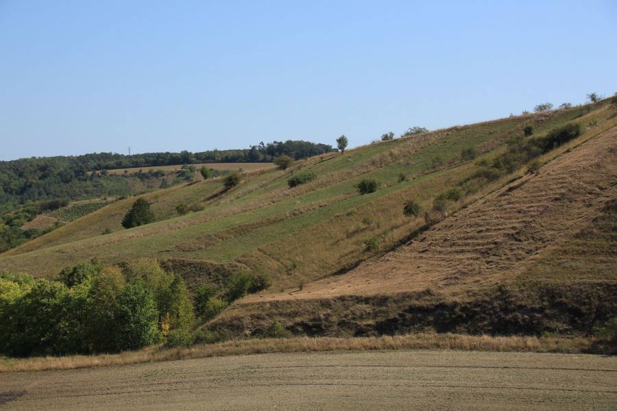 Na Adamcích