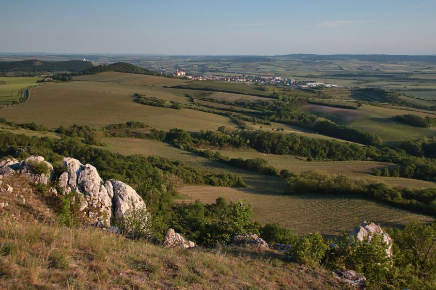Pálava