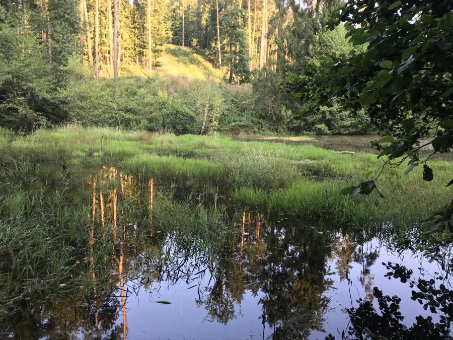 Dolní a Prostřední Svrčov