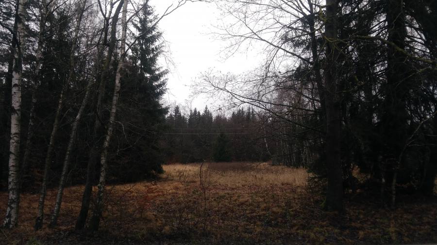 Teslíny