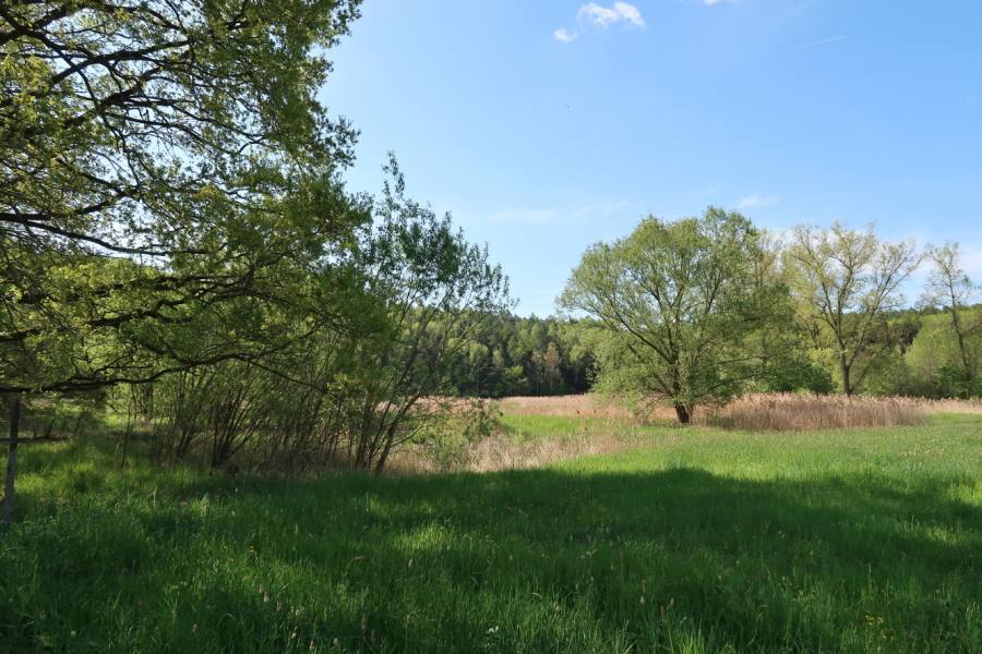 Kalspot