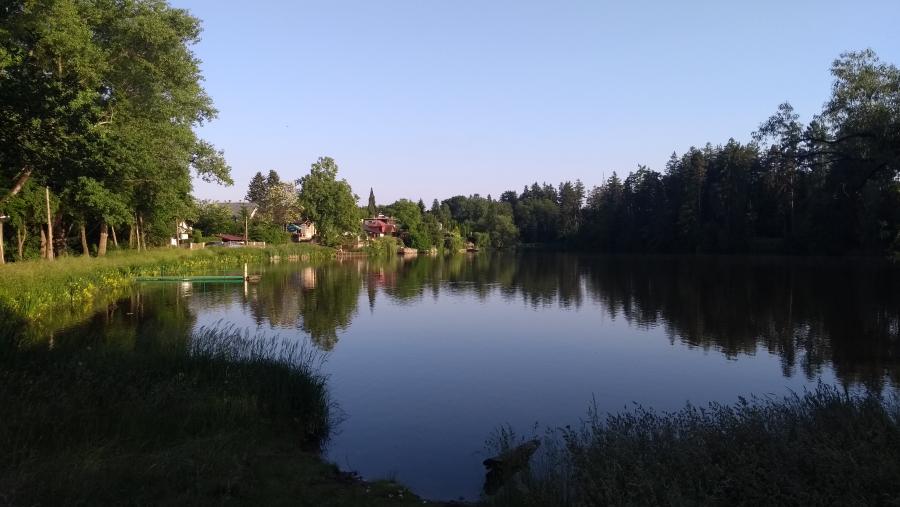 Rybník Vidlák