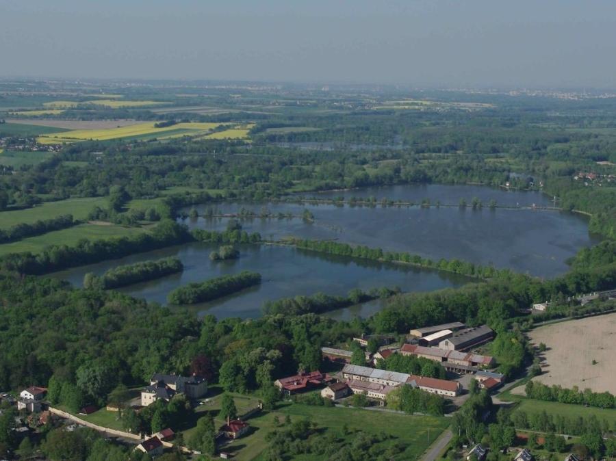 Kotvice