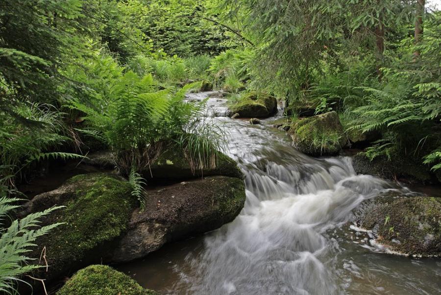 Mlýnský potok a Uhlířky