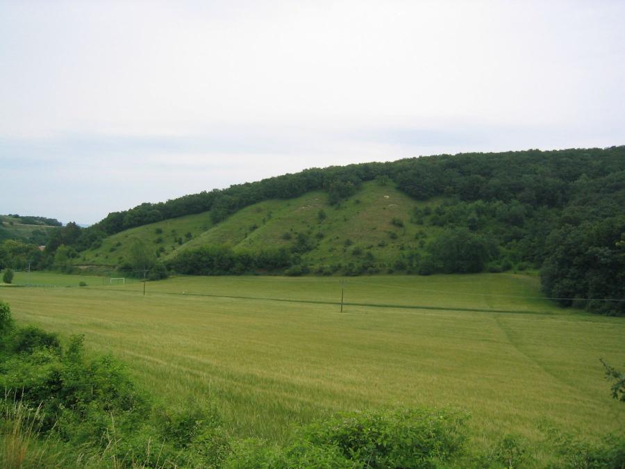 Milovická stráň