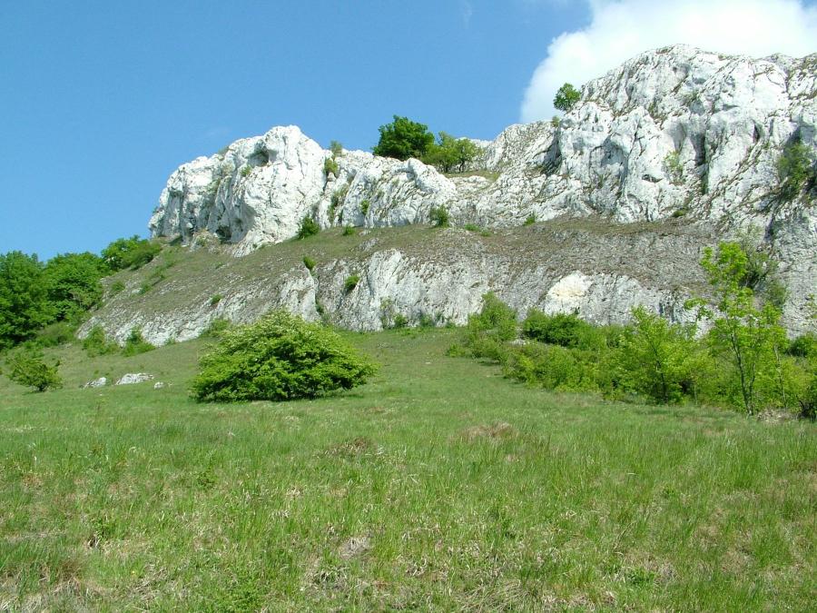 Děvín