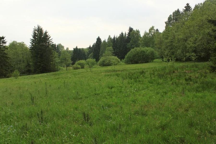 Kačerov
