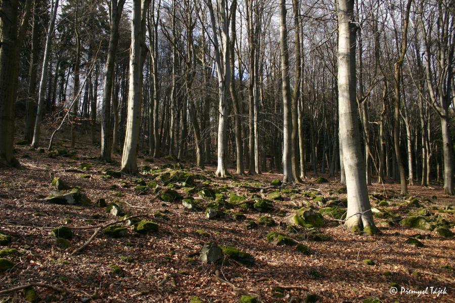 Podhorní vrch