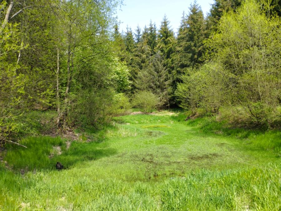 Suchá Rudná - zlatý lom