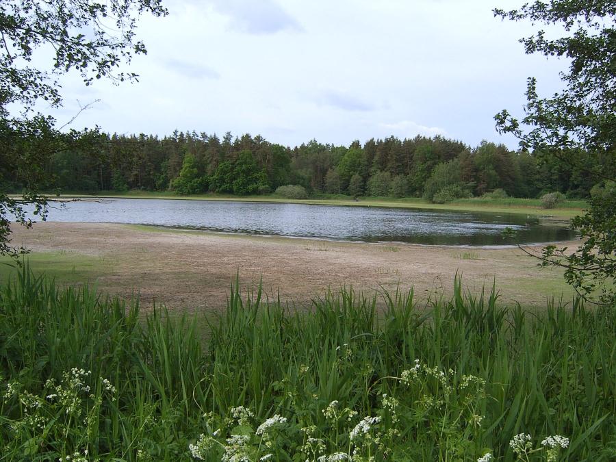 Malý Horusický rybník