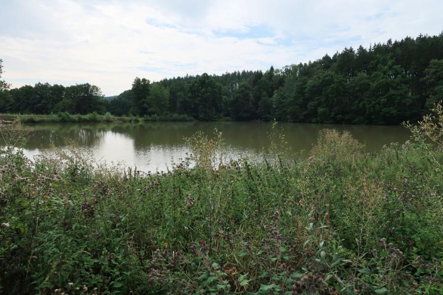 Rybník Jíkavec