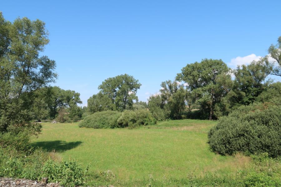 Libunecké rašeliniště