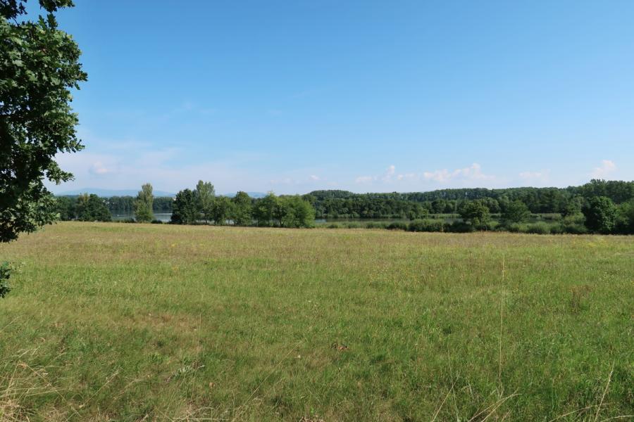 Žabakor