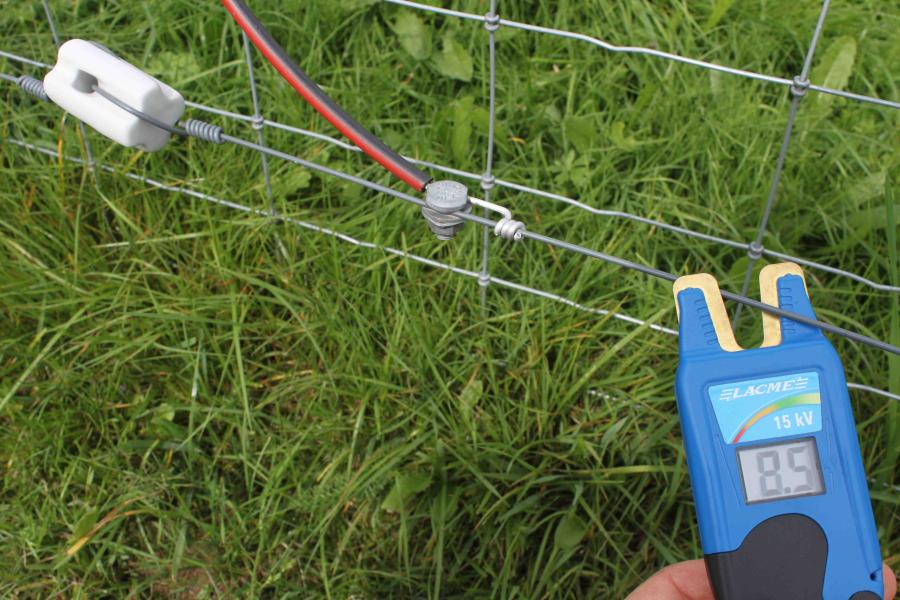 Preventivní opatření na ochranu před škodami způsobenými bobrem evropským a ZCHD velkých šelem (vlk, rys, medvěd)