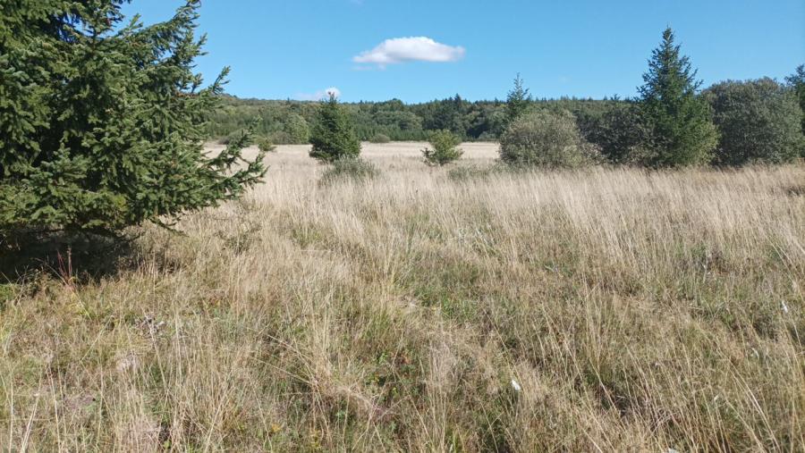 Hradiště