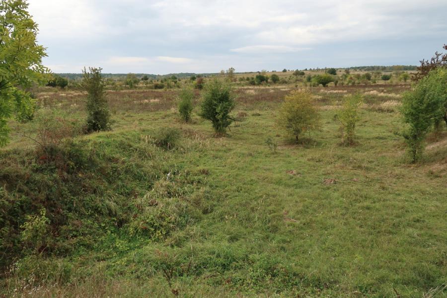Milovice - Mladá